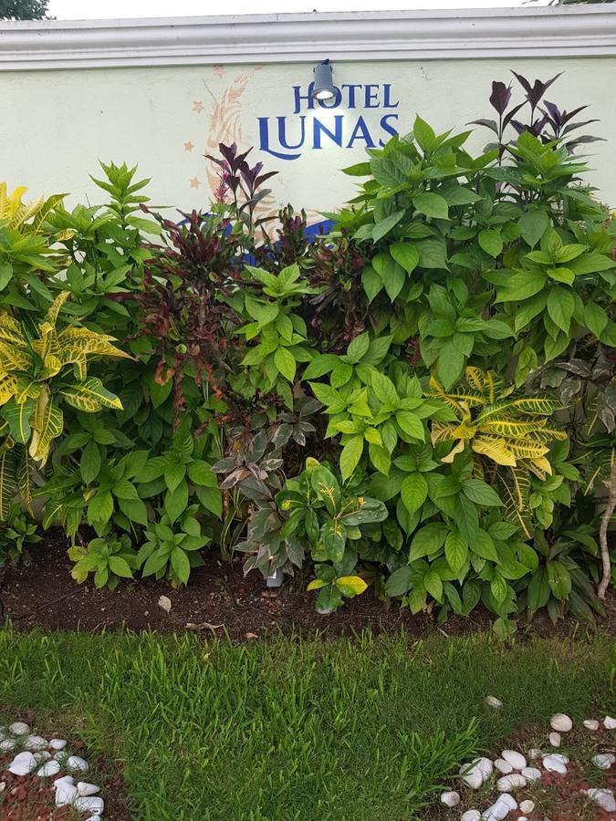 Hotel Lunas Bacalar Ngoại thất bức ảnh